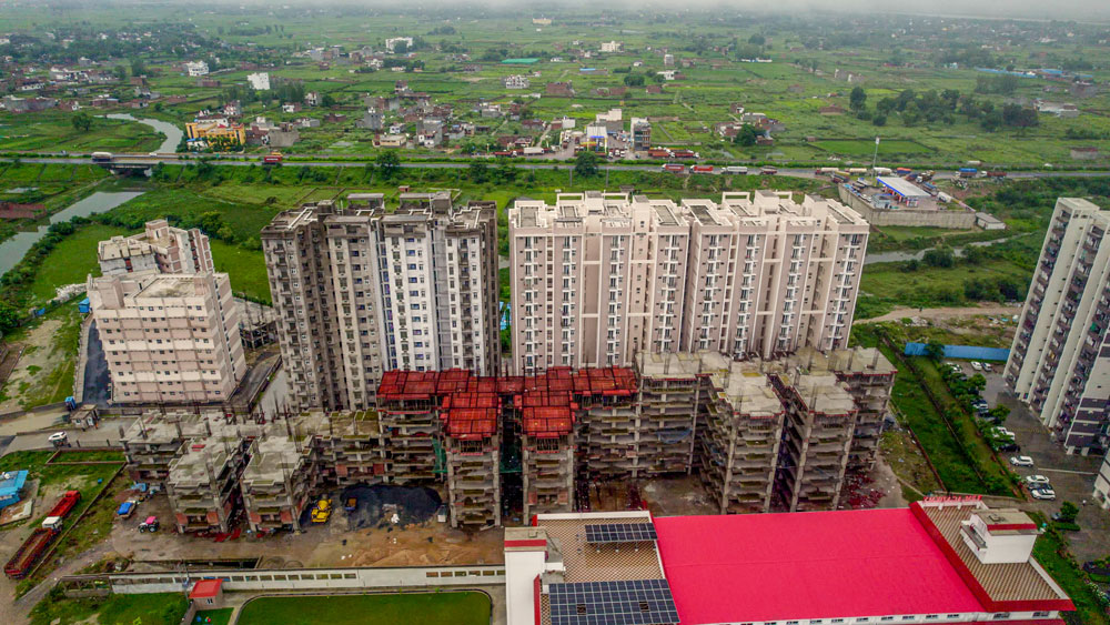 Palm Paradise Render